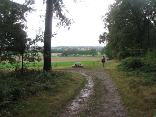 img_6405.jpg
