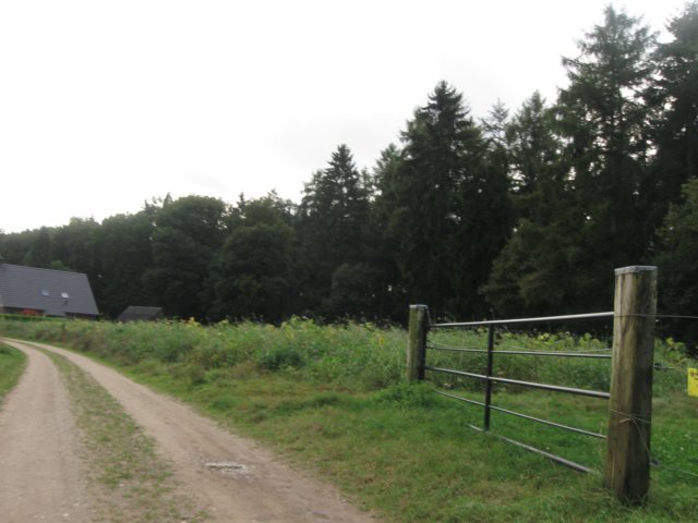 img_6407.jpg