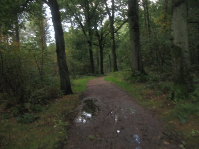 img_6413.jpg