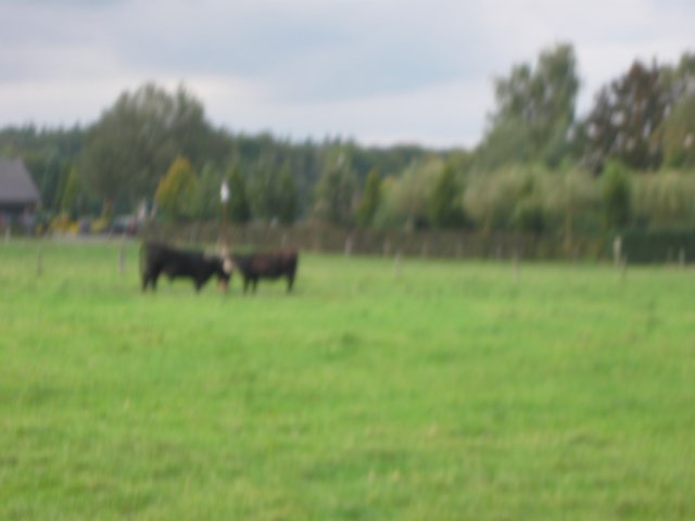 img_6428.jpg