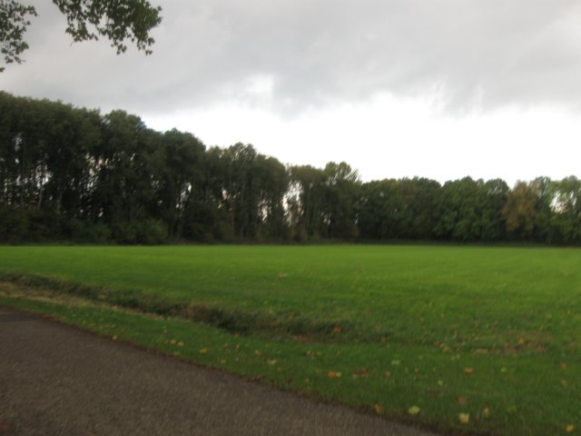 img_6444.jpg