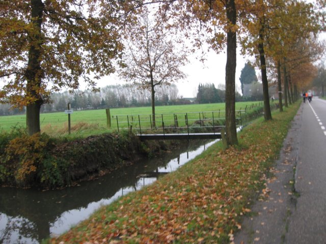 img_7141.jpg