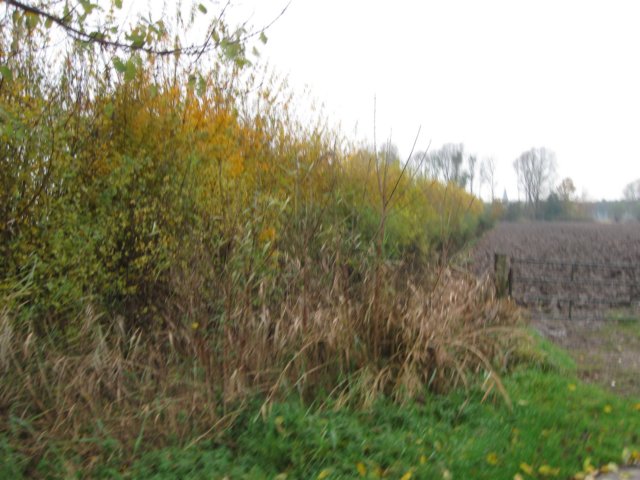img_7154.jpg