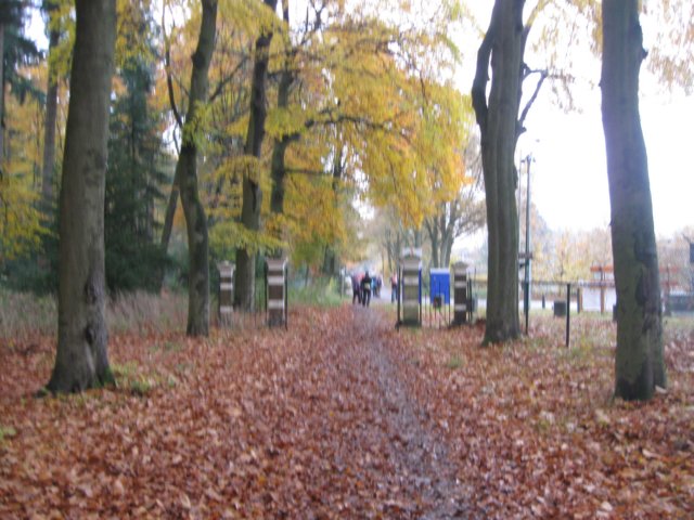 img_7187.jpg