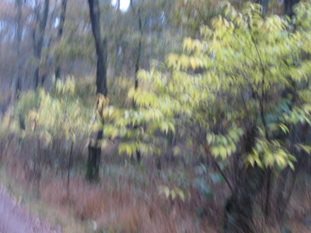 img_7223.jpg