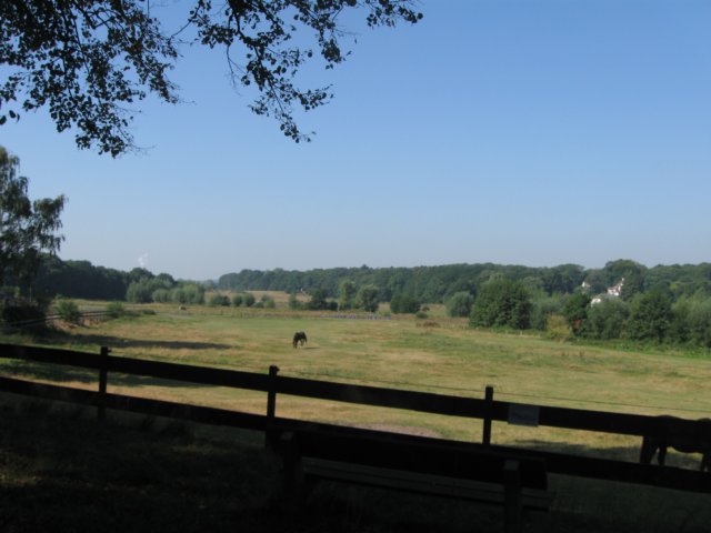 img_5699.jpg