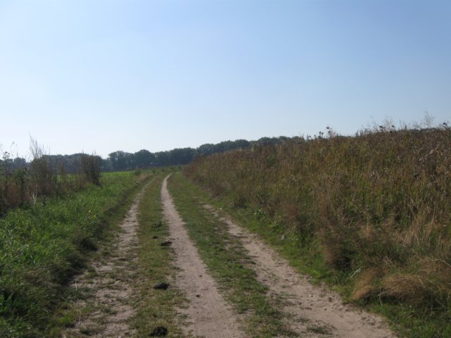 img_5701.jpg