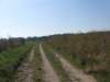img_5701_small.jpg
