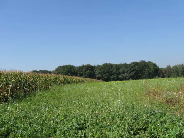 img_5702.jpg
