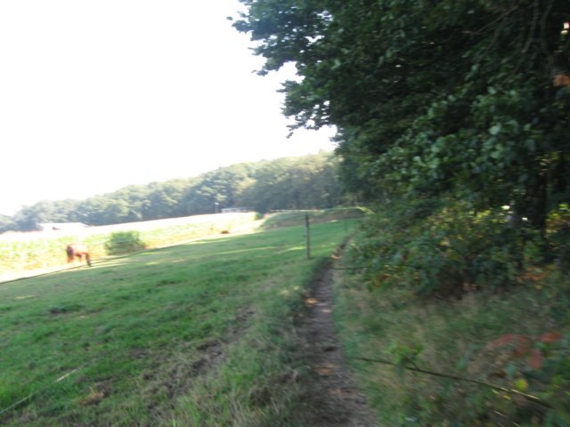 img_5708.jpg