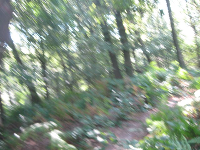img_5711.jpg