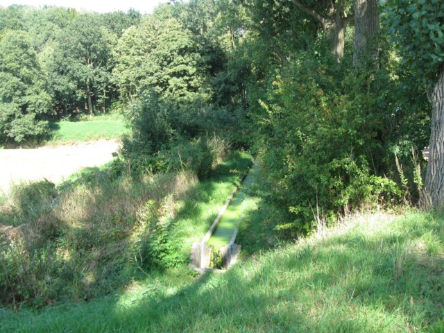 img_5720.jpg