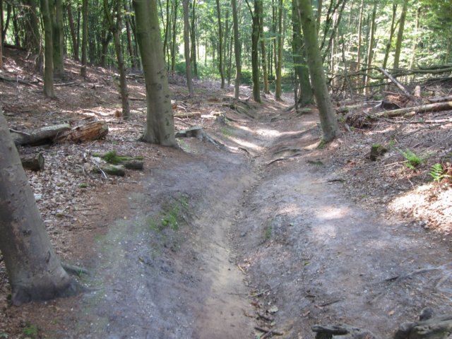 img_5730.jpg
