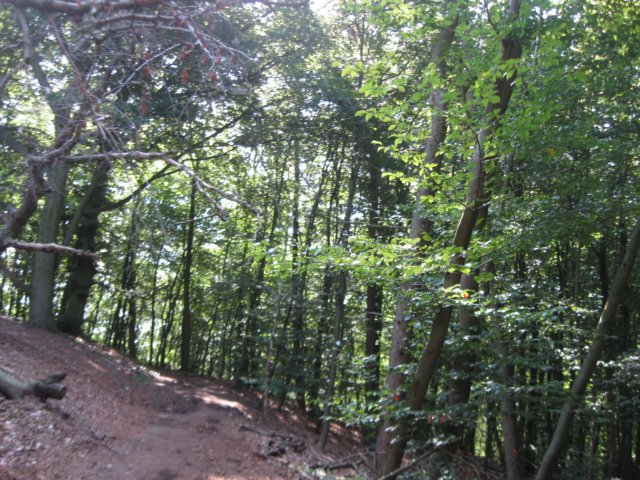 img_5731.jpg