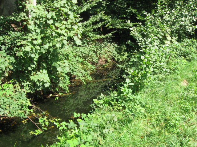 img_5735.jpg