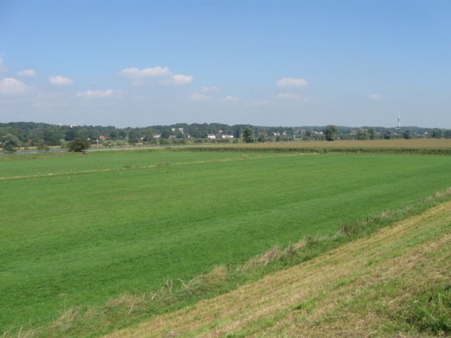 img_5748.jpg