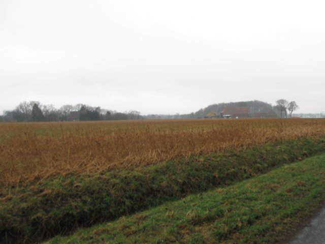 img_8596.jpg