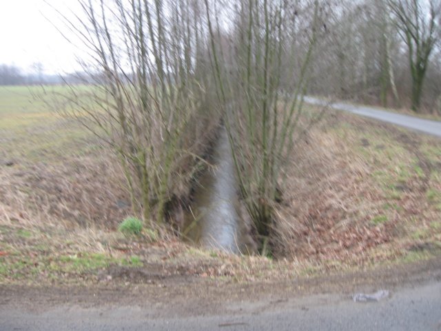 img_8642.jpg