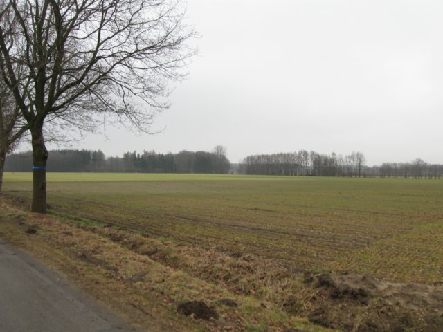 img_8643.jpg