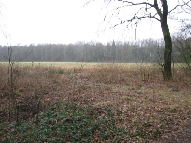 img_8649.jpg
