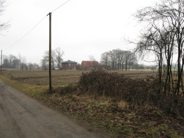 img_8650.jpg