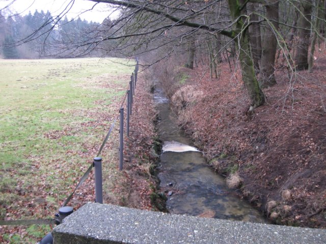 img_8666.jpg
