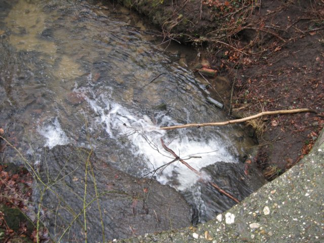 img_8667.jpg