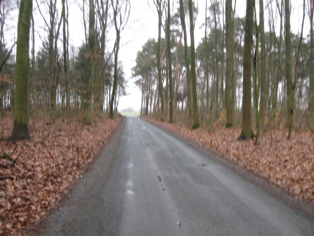 img_8668.jpg