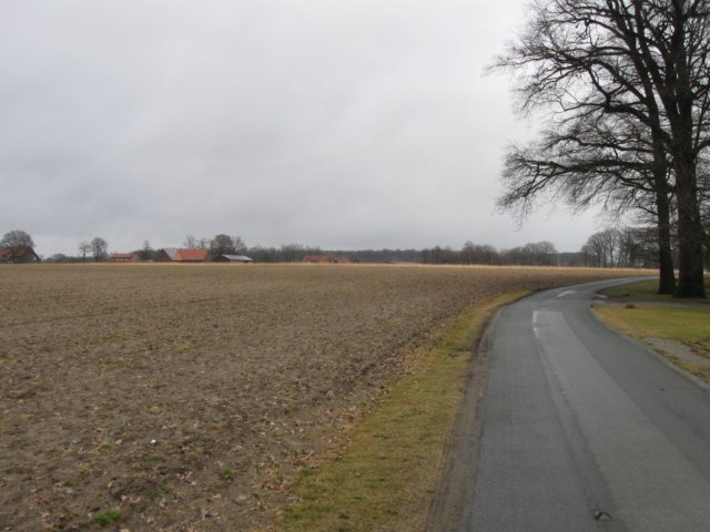 img_8674.jpg