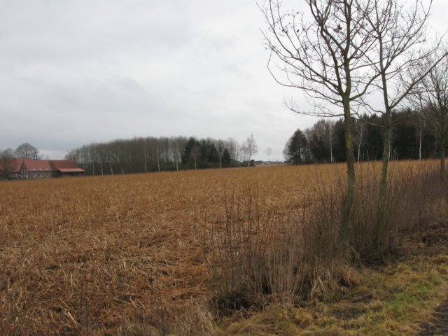 img_8687.jpg