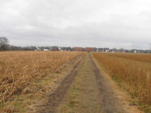 img_8688.jpg