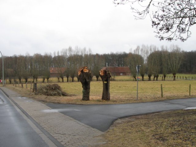 img_8694.jpg