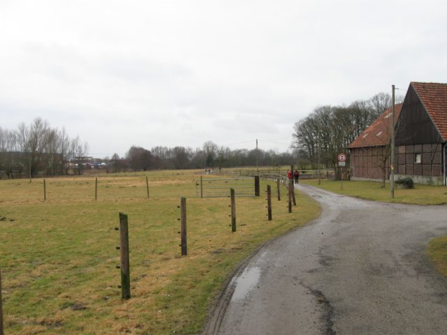 img_8696.jpg