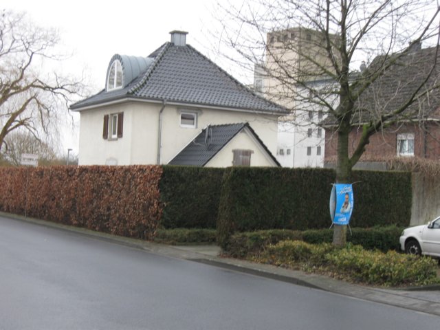 img_8702.jpg