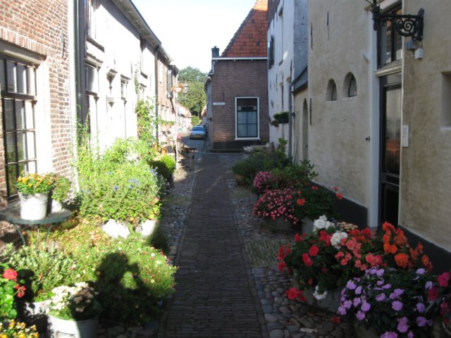img_5990.jpg