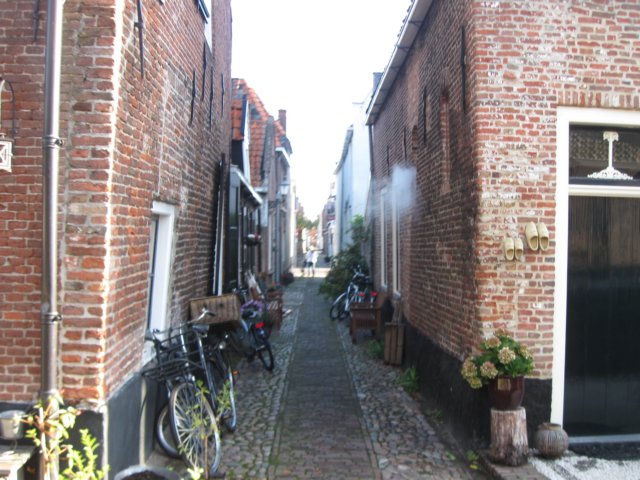 img_5992.jpg