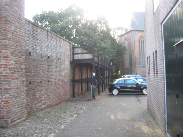 img_6007.jpg