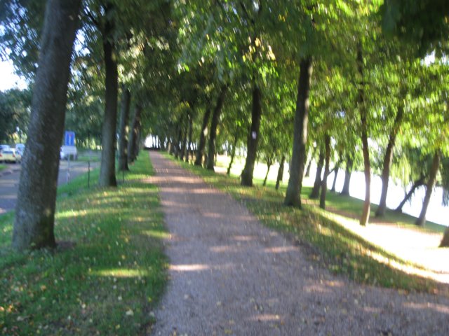 img_6024.jpg