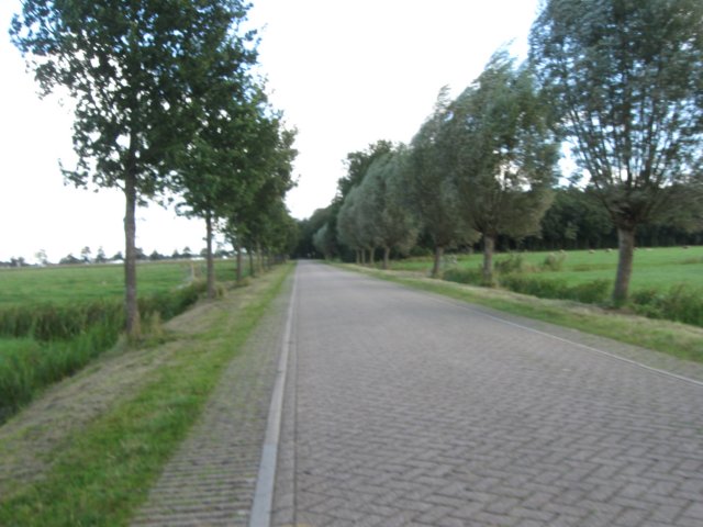 img_6158.jpg