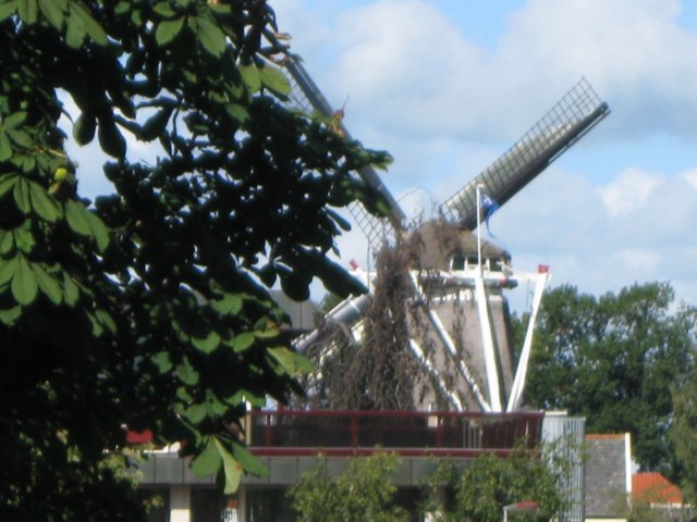 img_6174.jpg