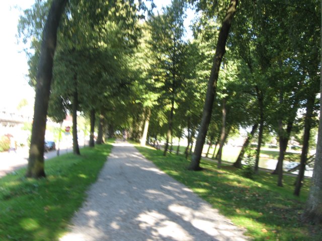 img_6194.jpg