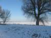 img_7858_small.jpg