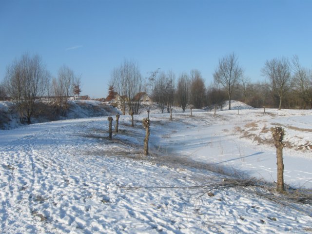 img_7894.jpg