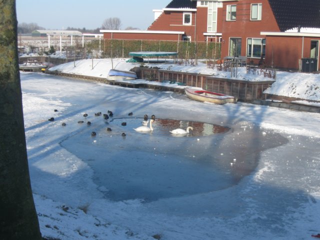img_7909.jpg