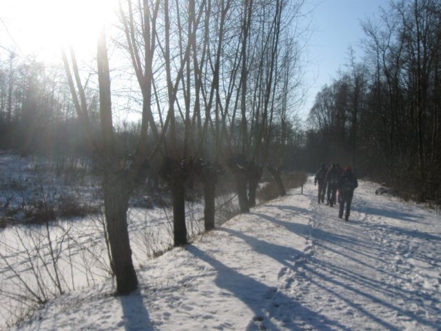 img_7921.jpg