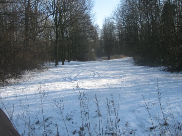 img_7959.jpg