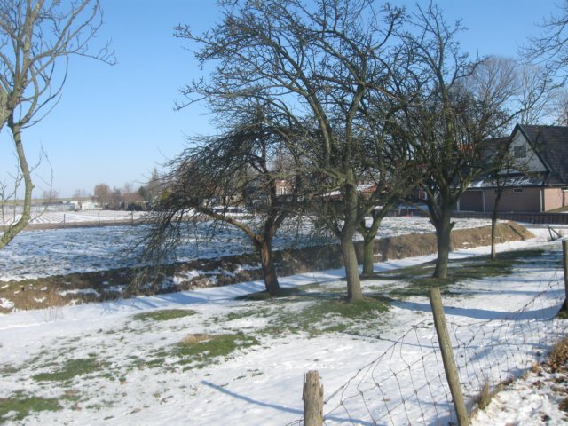 img_7971.jpg