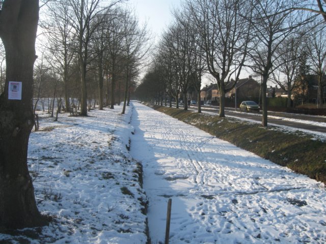 img_8058.jpg