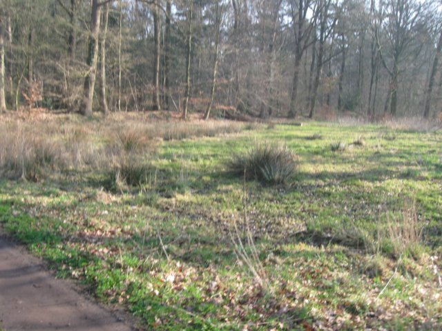 img_9737.jpg