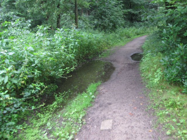 img_4551.jpg